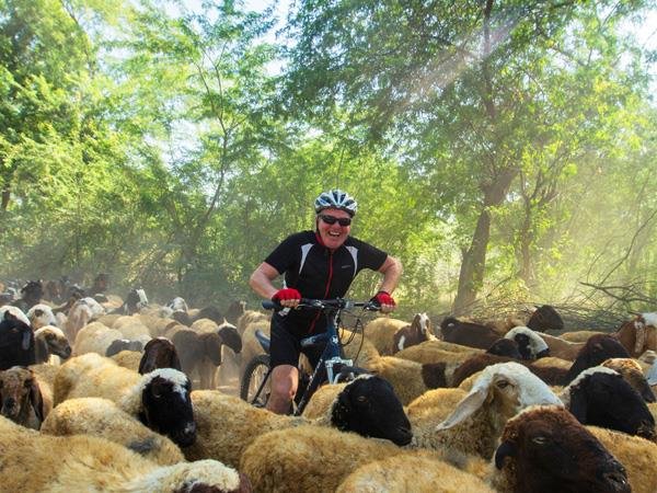 Rural Rajasthan Cycling Tour 11 Days